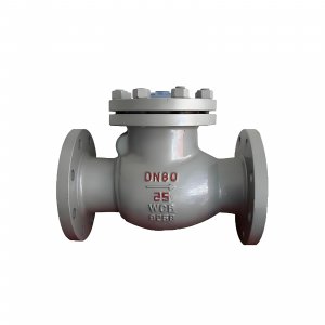 DN50 PN25 介質：甲胺，溫度：80℃止回閥
